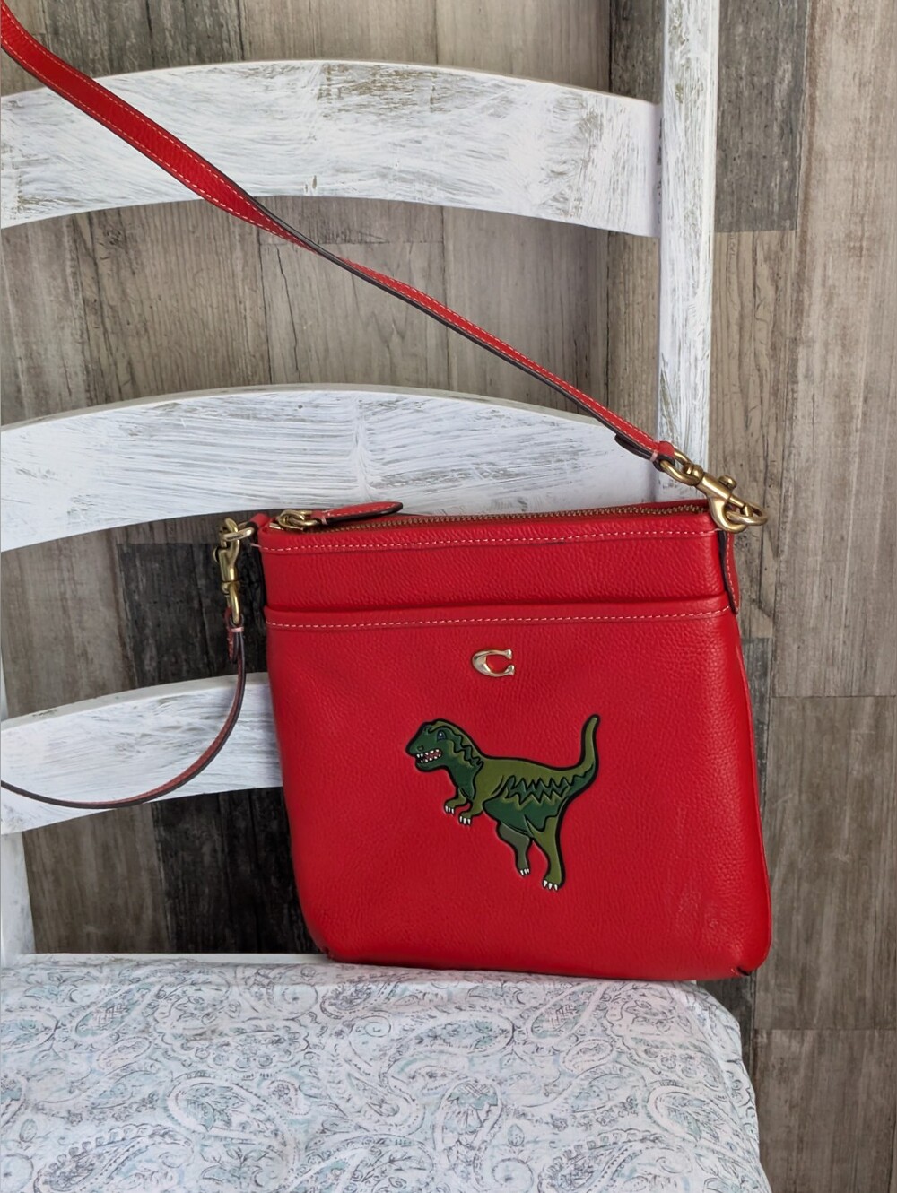 Coach Kitt Messenger Rexy Applique Crossbody